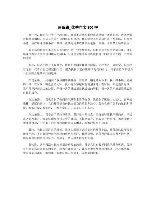 两条路_优秀作文800字