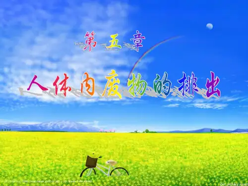 人教版生物七年级下册5.人体内废物的排出课件(共25张PPT)