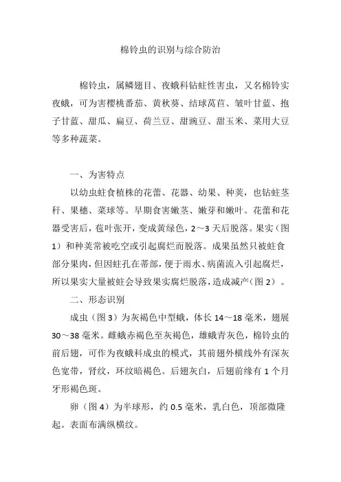 棉铃虫的识别与综合防治