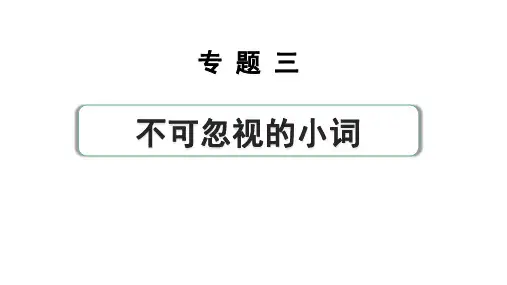 2024中考英语二轮复习第二部分专题三第4讲冠词(课件)