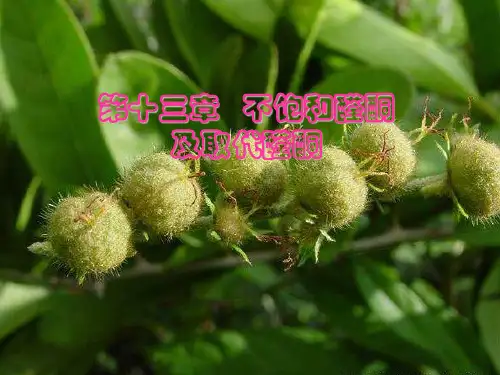 第13章 不饱和醛酮和取代醛酮