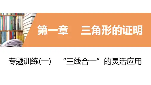 最新人教中考总复习知识点专题三线合一三角形证明的应用专题