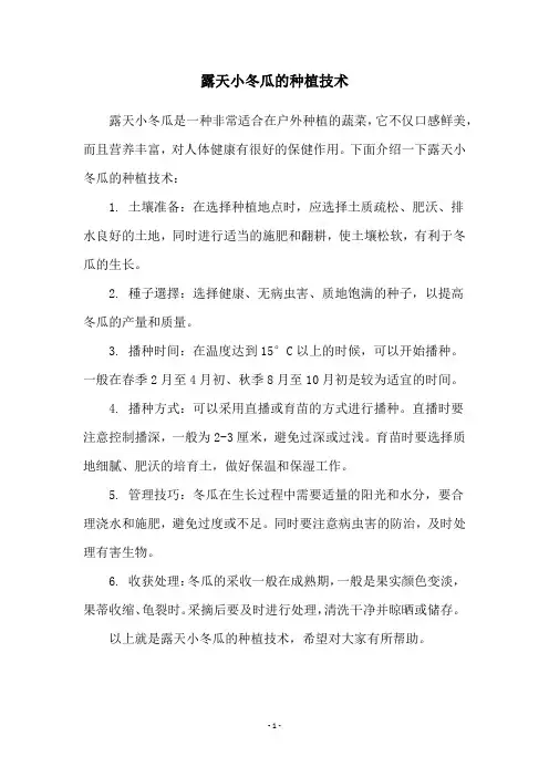 露天小冬瓜的种植技术