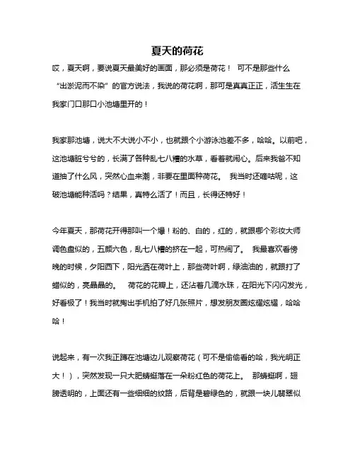 作文《夏天的荷花》