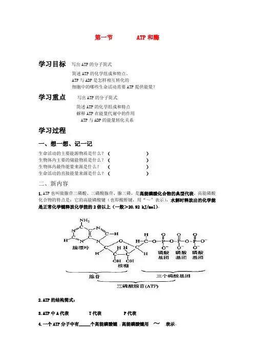 高中生物ATP导学案苏教版必修一
