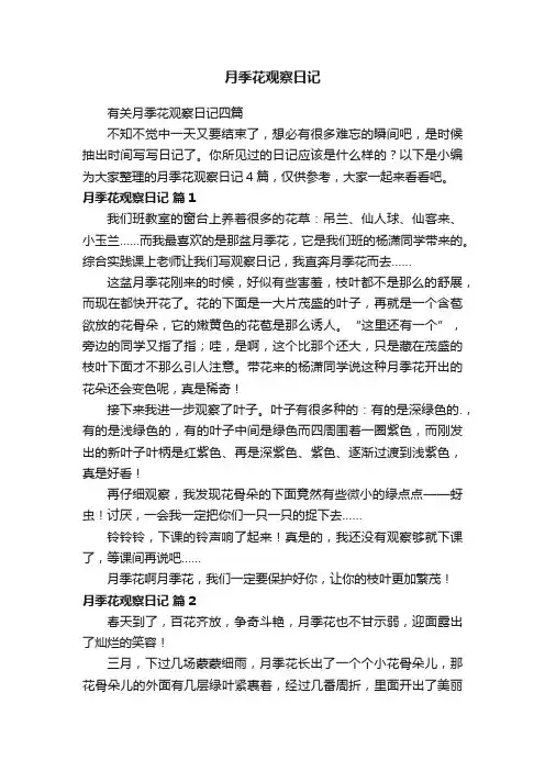 月季花观察日记