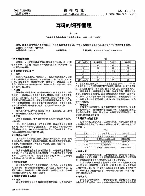 肉鸡的饲养管理