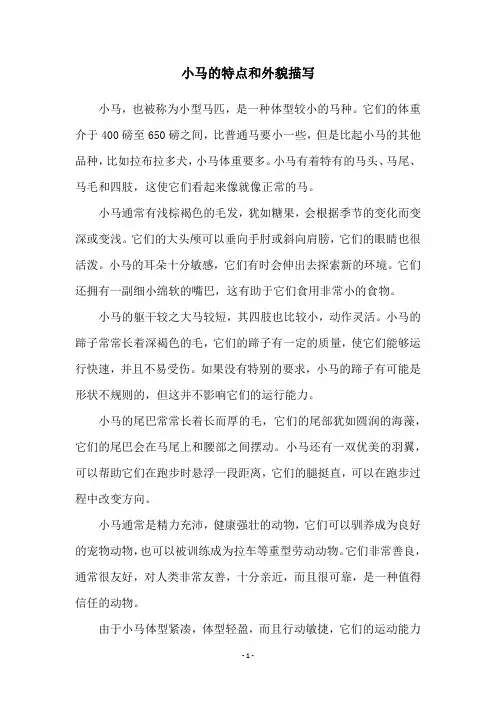 小马的特点和外貌描写