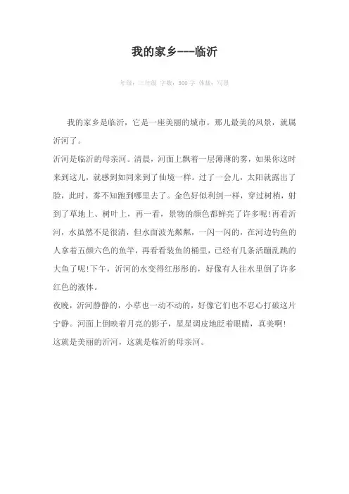 我的家乡---临沂300字作文