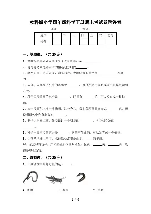 教科版小学四年级科学下册期末考试卷附答案