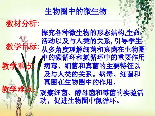 【一线精品】  生物圈中的微生物   最新优秀公开PPT课件