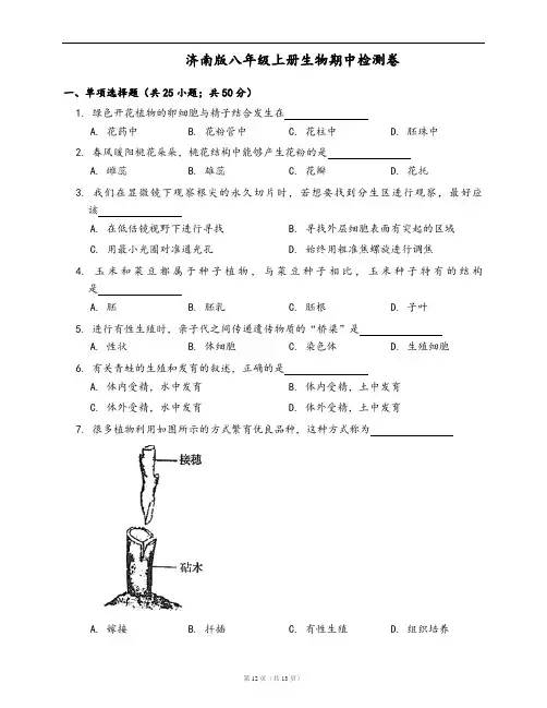 济南版八年级上册生物期中检测卷(word版,含答案解析)
