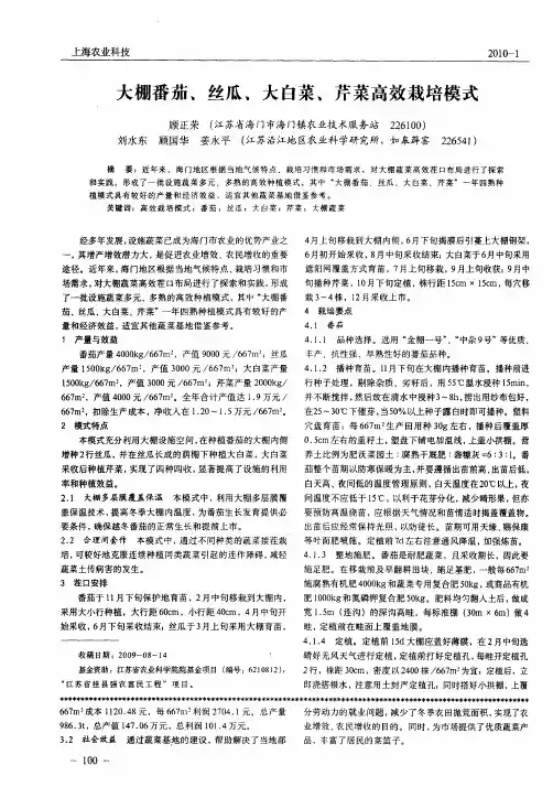 大棚番茄、丝瓜、大白菜、芹菜高效栽培模式