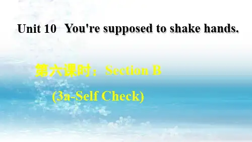 人教版初中英语九年级下册精品课件Unit 10 Unit 10 SectionB (3a-Self Check)