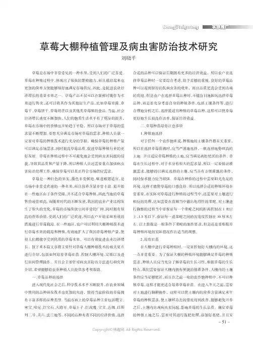 草莓大棚种植管理及病虫害防治技术
