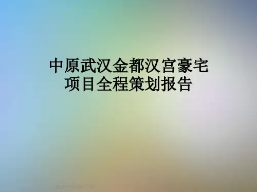 中原武汉金都汉宫豪宅项目全程策划报告