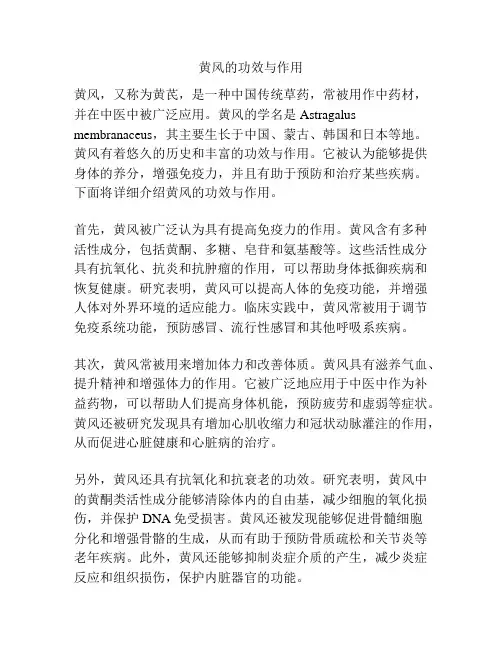 黄风的功效与作用