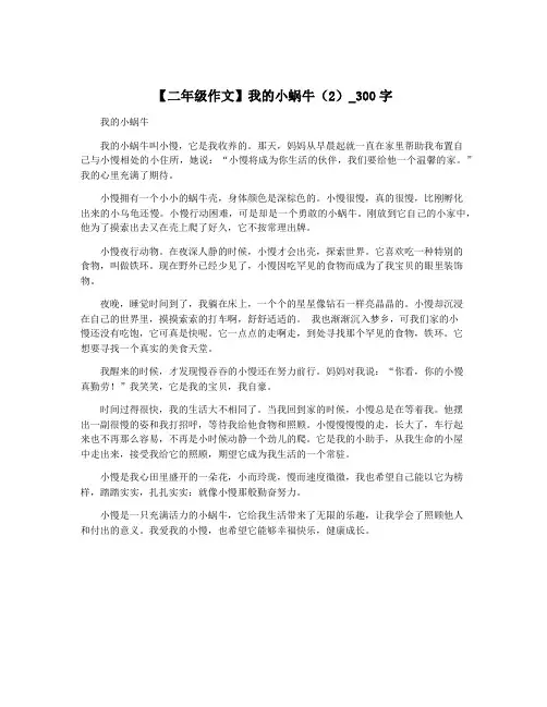 【二年级作文】我的小蜗牛(2)_300字