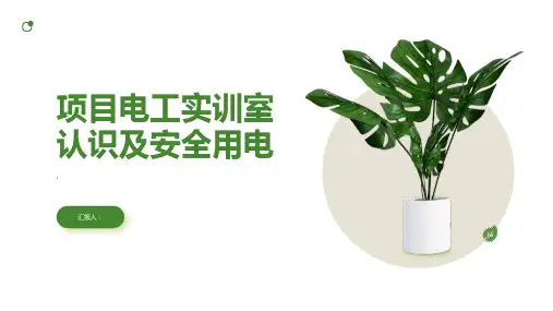 项目电工实训室认识及安全用电