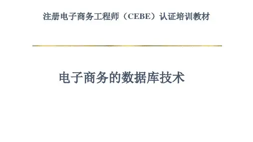 教学课件 《电子商务的数据管理技术》-徐保民