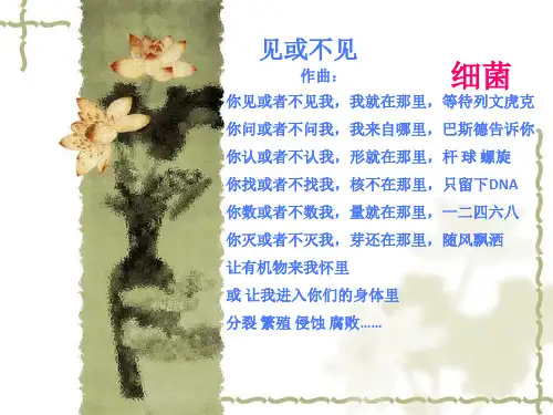 人教版生物八上5.4.2《细菌》 课件(共25张PPT) (1)