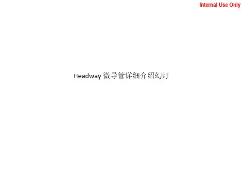 Headway 微导管详细介绍幻灯