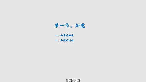 组织行为学知觉和归因