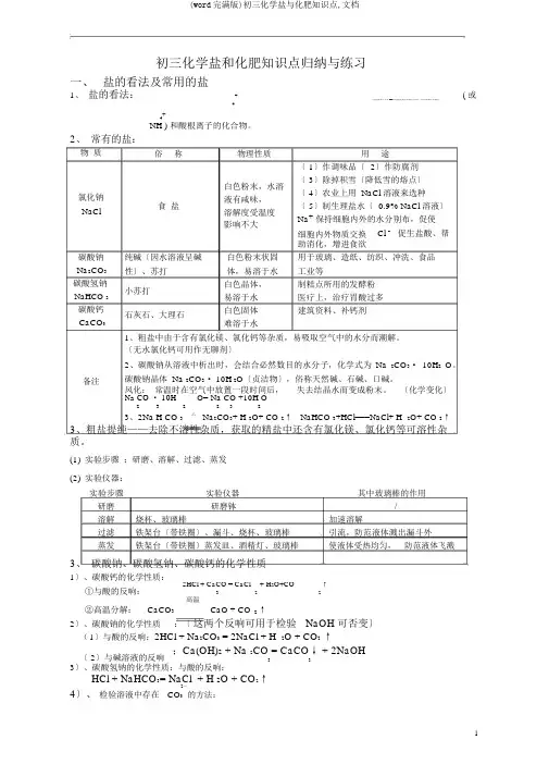 (word完整版)初三化学盐与化肥知识点,文档