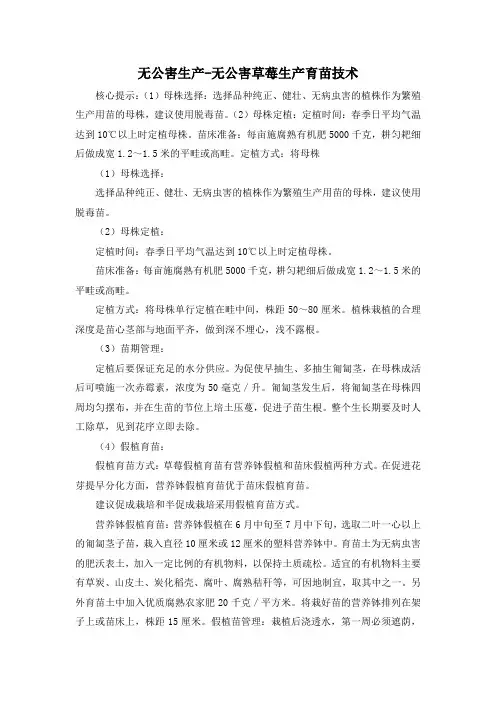无公害生产-无公害草莓生产育苗技术