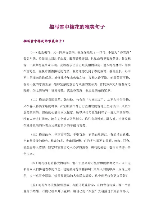 描写雪中梅花的唯美句子