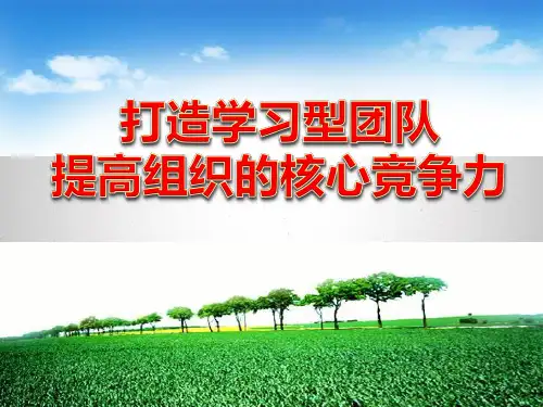 打造学习型团队提高组织的核心