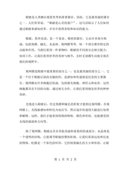 作文眼睛之美范文