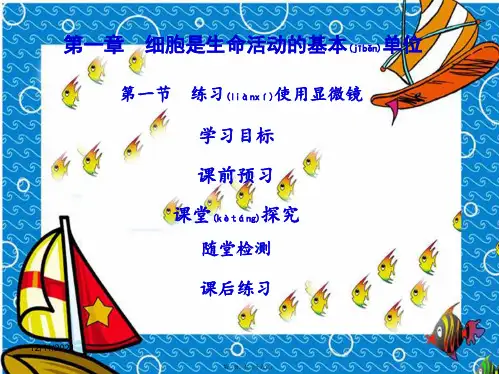 七年级生物上册 第二单元 第一章 第一节练习使用显微镜