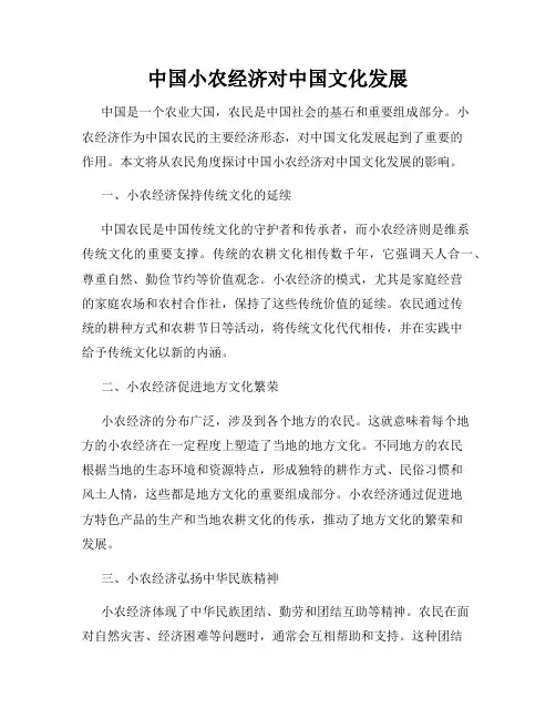 中国小农经济对中国文化发展