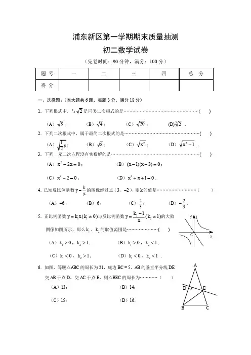 【八年级上.数学.浦东新区区卷】上海市浦东新区第一学期初二数学期末质量抽测(含答案)