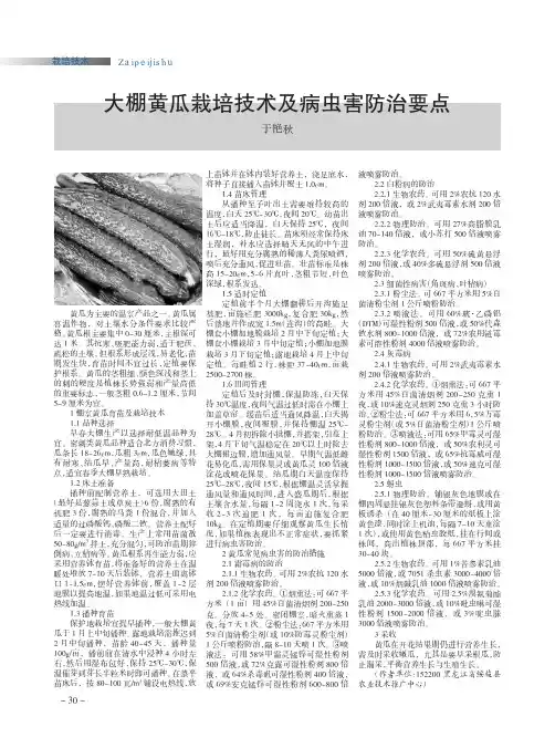 大棚黄瓜栽培技术及病虫害防治要点