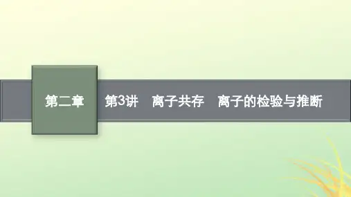 新高考新教材广西专版化学一轮总复习第二章物质及其变化第3讲离子共存离子的检验与推断pptx课件