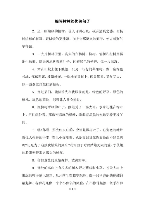 描写树林的优美句子