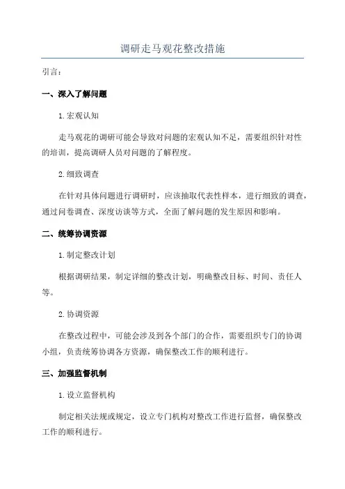 调研走马观花整改措施