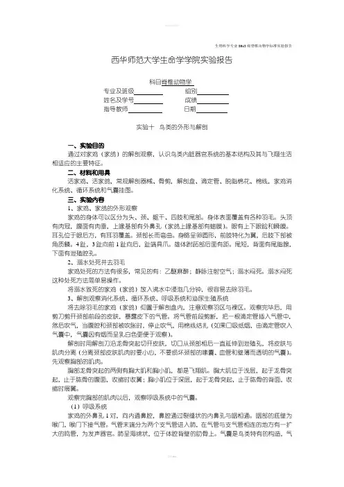 实验十鸟类的外形与解剖