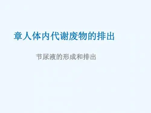 山东省安丘市七年级生物下册 3.4.1尿液的形成和排出教案 (新版)济南版
