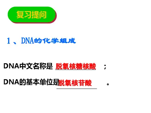 人教版高中生物必修二3.2 DNA分子的结构(共34张PPT)