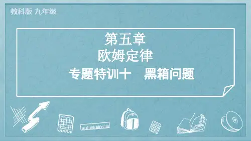 2024年教科版九年级物理全一册期末复习专题特训十 黑箱问题
