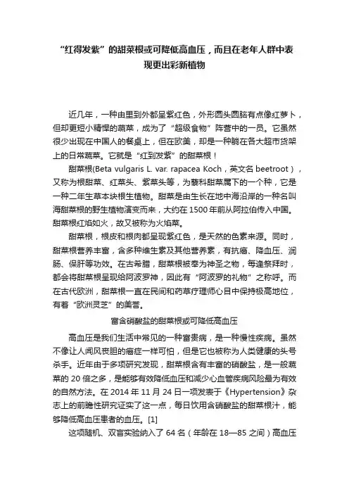 “红得发紫”的甜菜根或可降低高血压，而且在老年人群中表现更出彩新植物