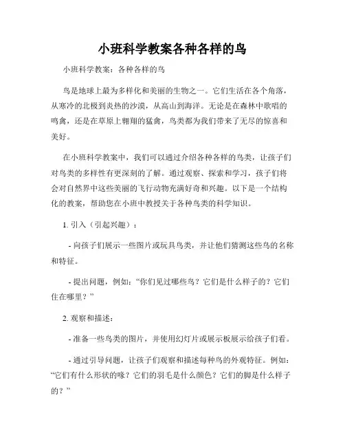 小班科学教案各种各样的鸟