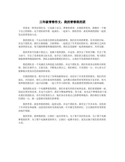 三年级青春作文：我的青春我的团