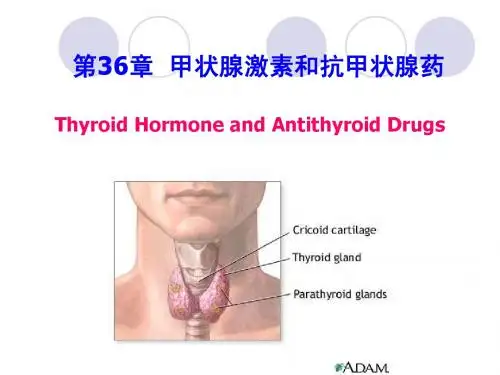 第36章 甲状腺激素及抗甲状腺药