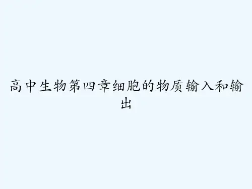 高中生物第四章细胞的物质输入和输出