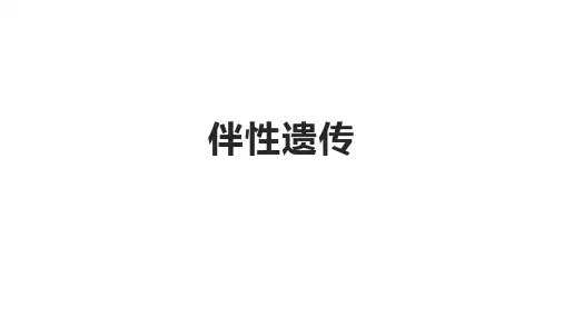 《伴性遗传》PPT人教版1