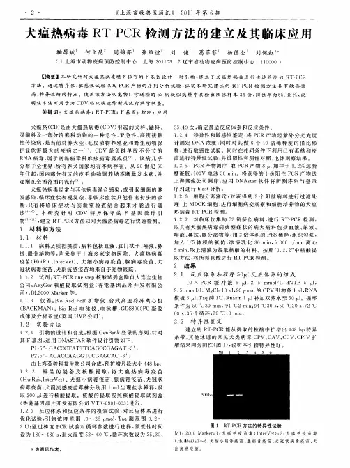 犬瘟热病毒RT—PCR检测方法的建立及其临床应用